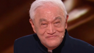 黄色日皮